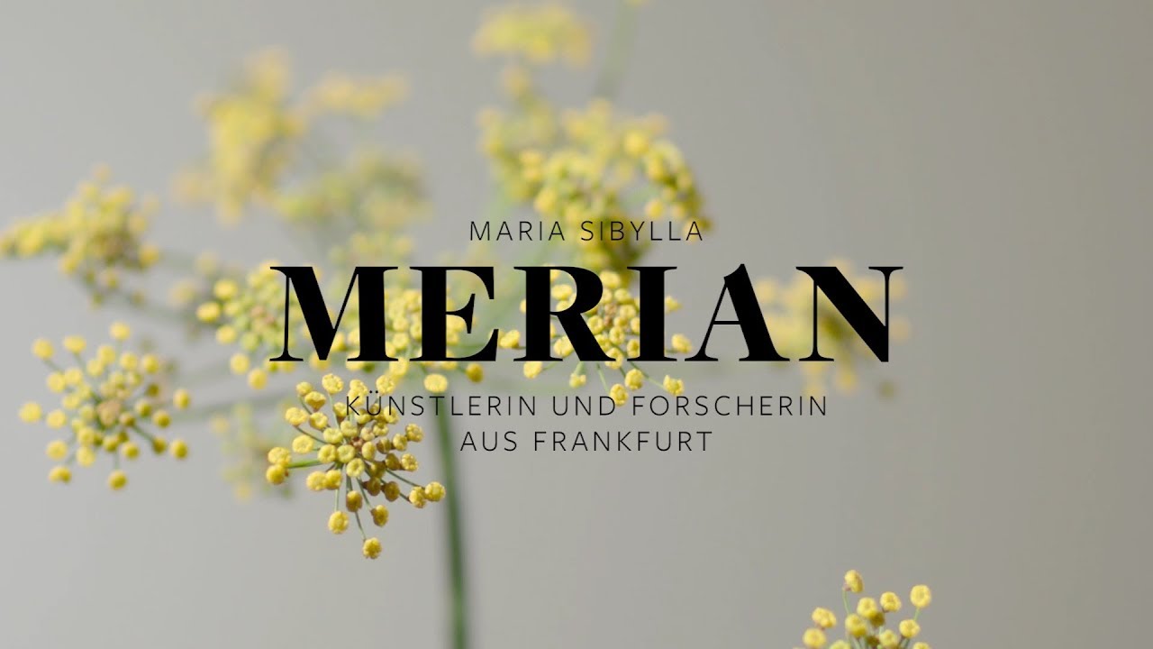 Maria Sibylla Merian. Künstlerin und Forscherin aus Frankfurt