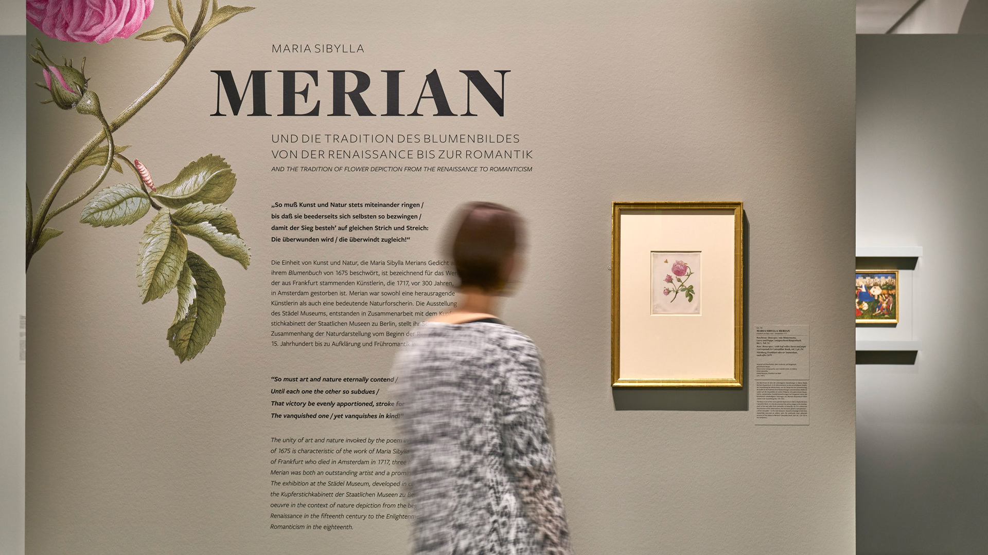 2017 Maria Sibylla Merian Ausstellungsansicht Filmstill