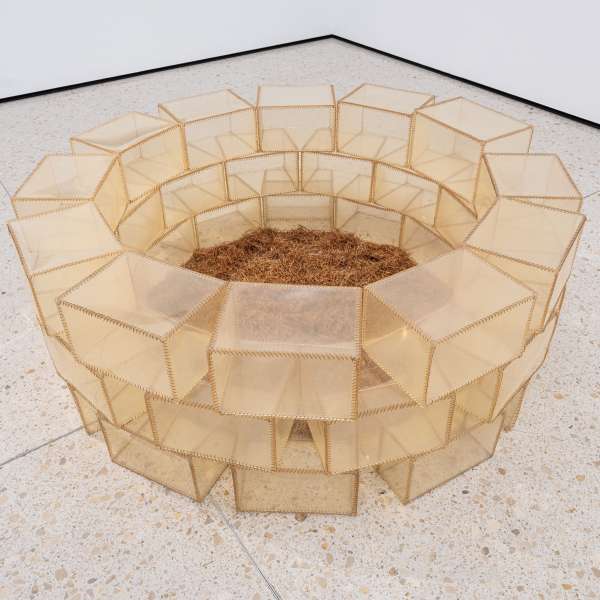 Bild des monats groeting asta Wir wir wir du du ich 1994