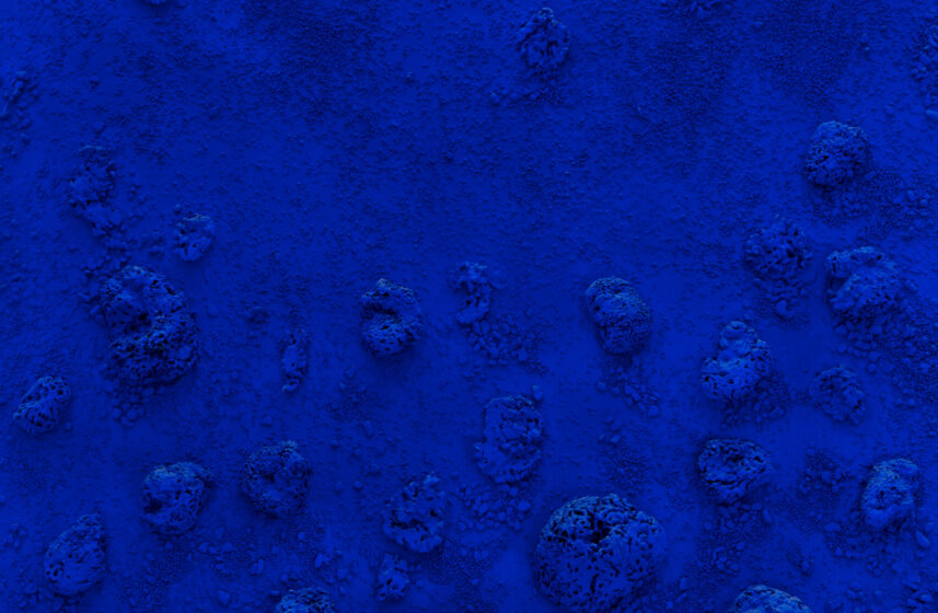 2024 09 Closeup Yves Klein